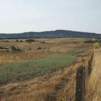 Click para ampliar. Pulsa en el nombre para ver la ficha. Navas del Madroño6: Cabeza de Araya (vista panorámica)